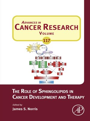 cover image of The Role of Sphingolipids in Cancer Development and Therapy